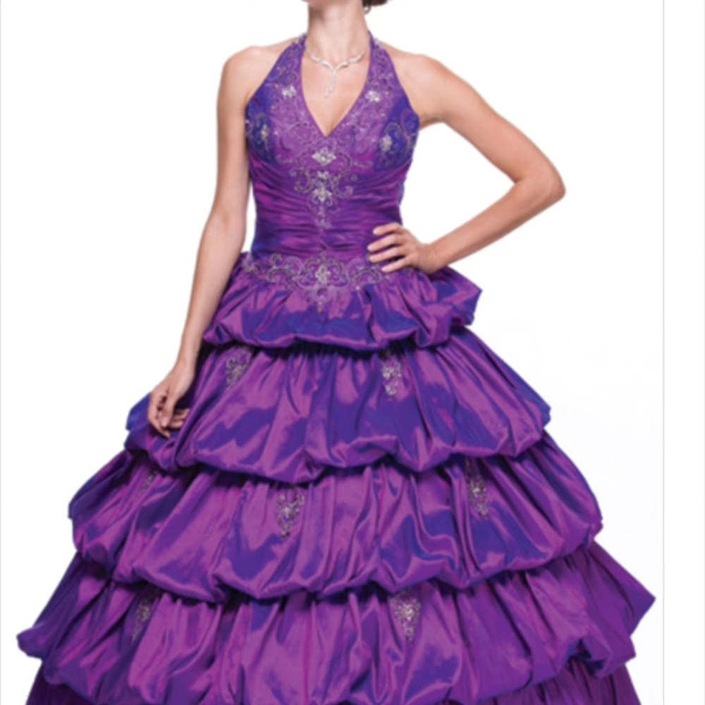 Quinceanera  / Ballroom Dress